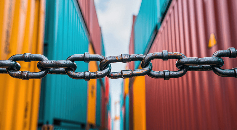 The True Cost of Disconnected Logistics Systems: How nVision Global Solves the Puzzle?