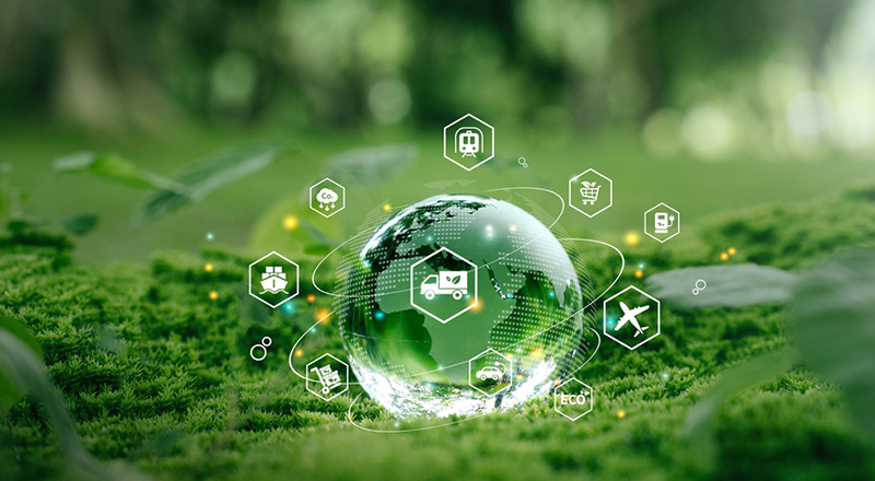 Sustainable Shipping: Can Green Logistics Reduce Your Costs and Carbon Footprint?